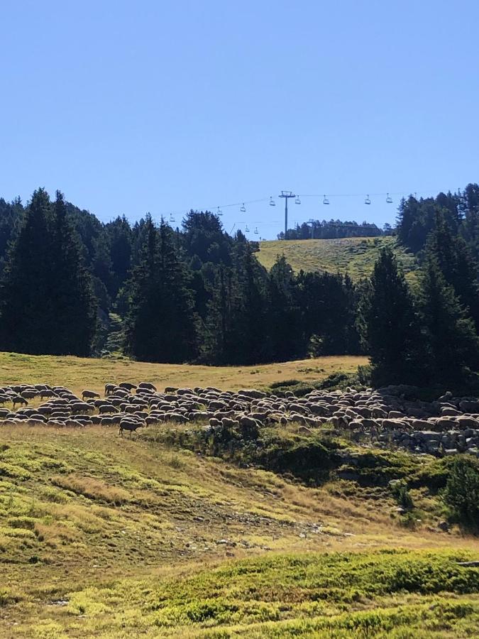 Appartement Cosy A Chamrousse Avec Vue Sur Montagne + 34M² Luaran gambar